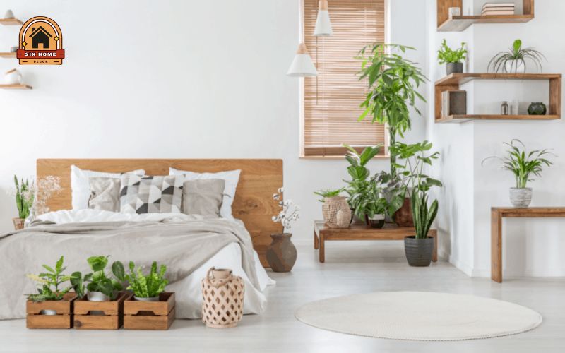 Cây xanh và vật trang trí thiên nhiên khi decor phòng ngủ gác lửng